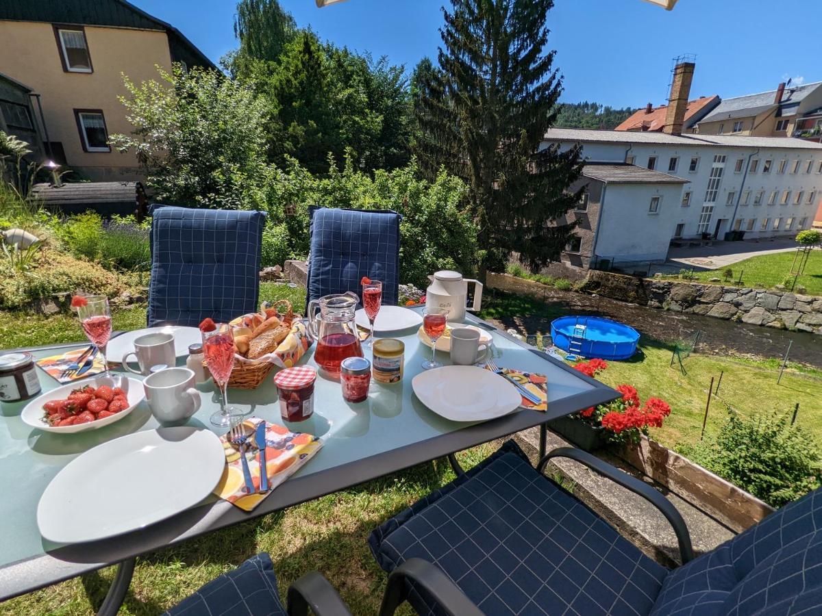 Lichtdurchflutete Helle Wohnung Mit Garten Sauna & Pool - Hw3 Sebnitz Exteriör bild