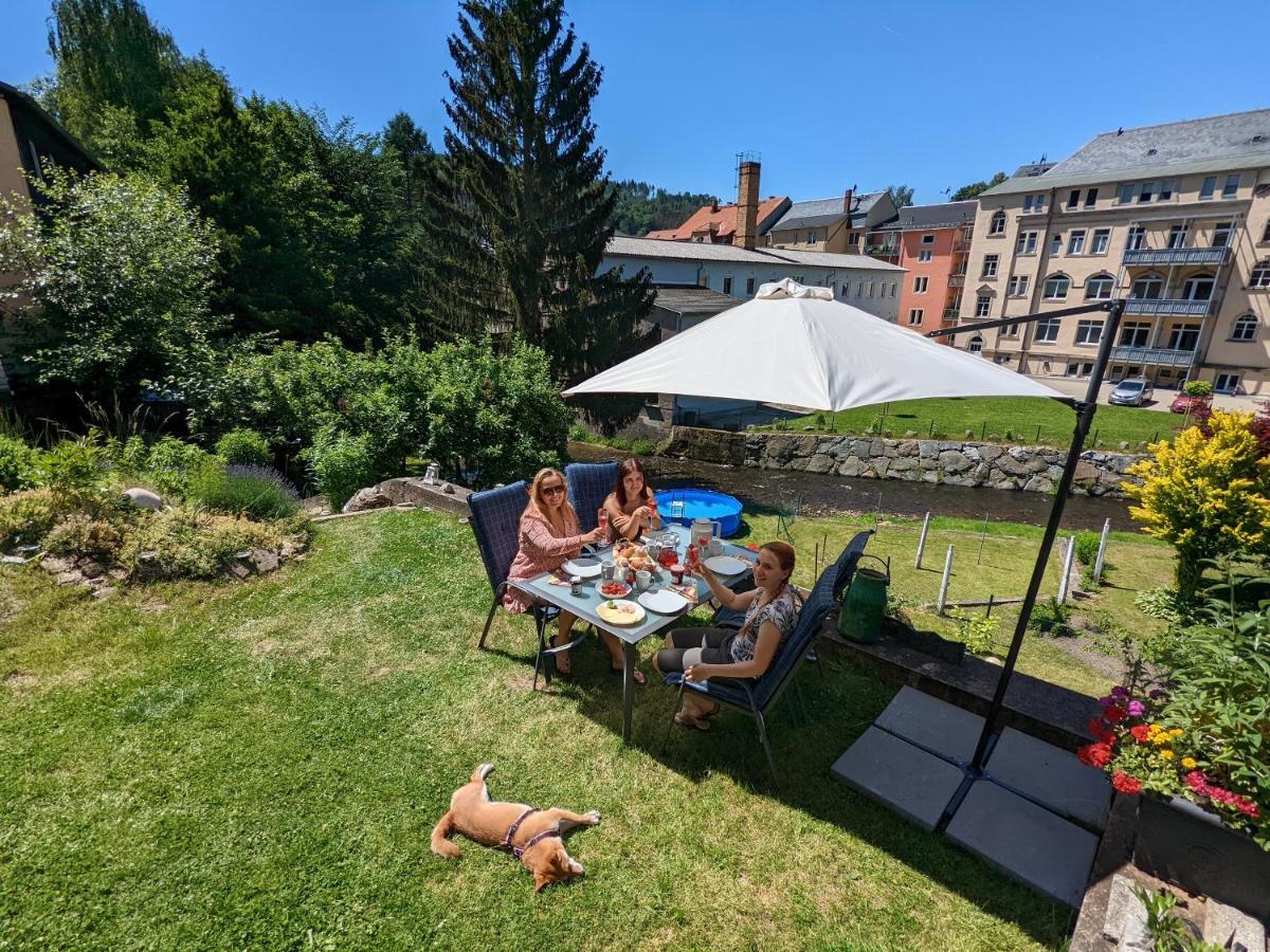 Lichtdurchflutete Helle Wohnung Mit Garten Sauna & Pool - Hw3 Sebnitz Exteriör bild